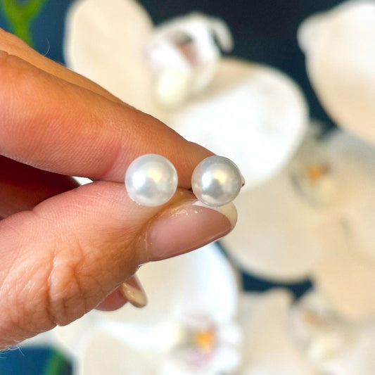 tos-useast2a-i-tulkllf4y5-euttp/1bbf36234b2e410489b2639e4ba6a420